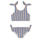 Strawberry Fields Bikini
